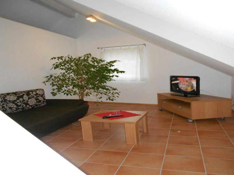Apartment Schwendemann Lahr (Baden-Wurttemberg) Quarto foto